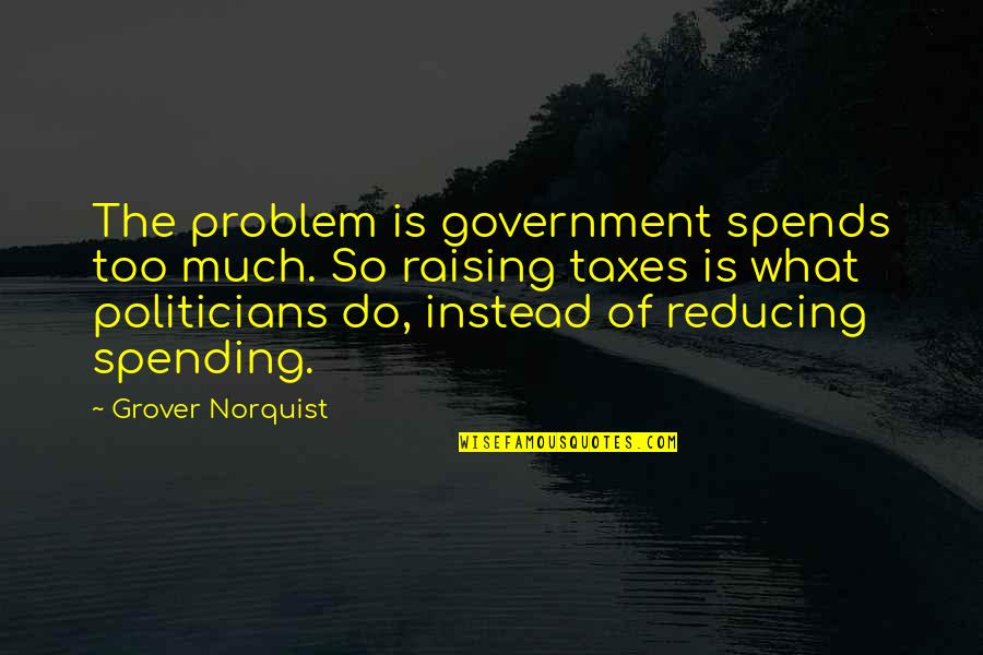 Grover's Quotes By Grover Norquist: The problem is government spends too much. So