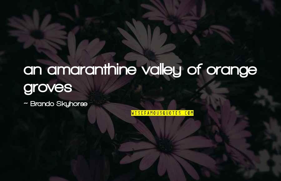 Groves Quotes By Brando Skyhorse: an amaranthine valley of orange groves