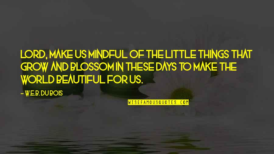 Grow In The Lord Quotes By W.E.B. Du Bois: Lord, make us mindful of the little things