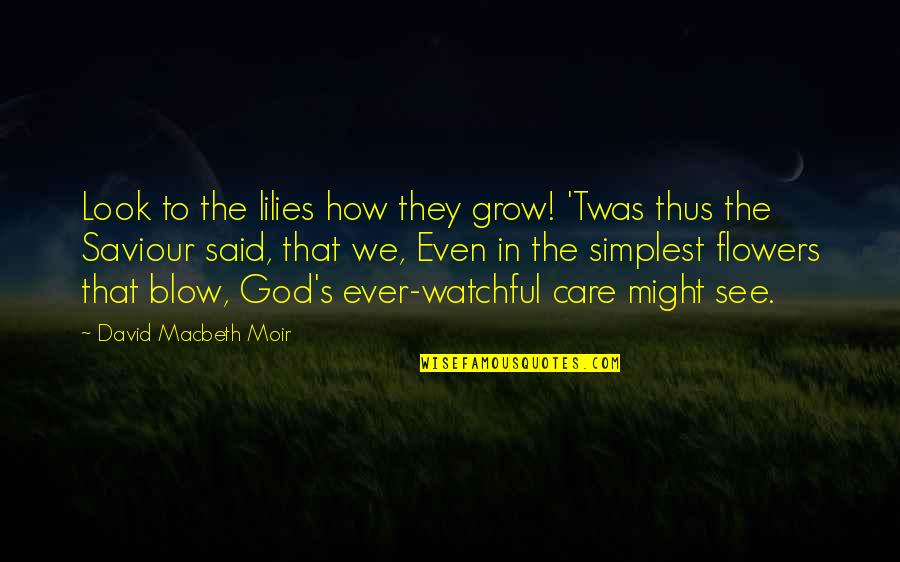 Grow Quotes By David Macbeth Moir: Look to the lilies how they grow! 'Twas