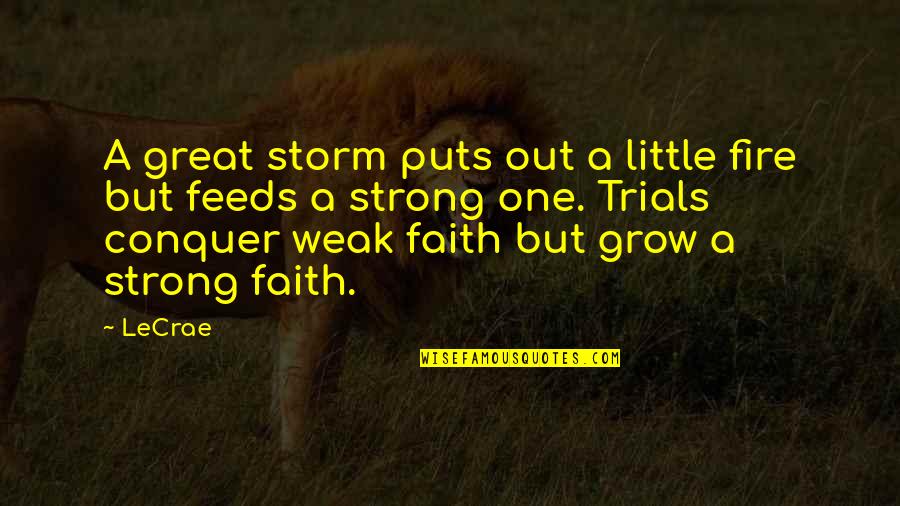 Grow Up Strong Quotes By LeCrae: A great storm puts out a little fire