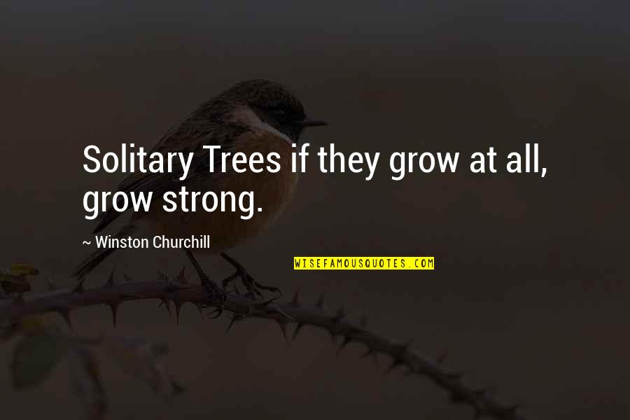 Grow Up Strong Quotes By Winston Churchill: Solitary Trees if they grow at all, grow