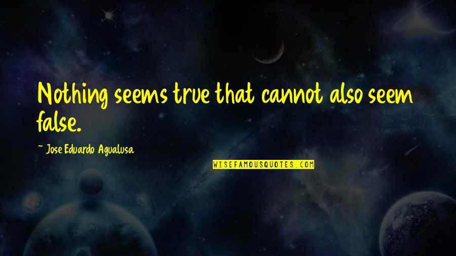 Growing Older Gracefully Quotes By Jose Eduardo Agualusa: Nothing seems true that cannot also seem false.