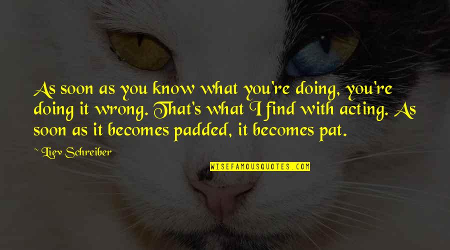 Guggenbichler Design Quotes By Liev Schreiber: As soon as you know what you're doing,