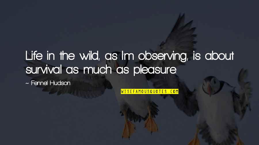 Gunasekara Mawatha Quotes By Fennel Hudson: Life in the wild, as I'm observing, is