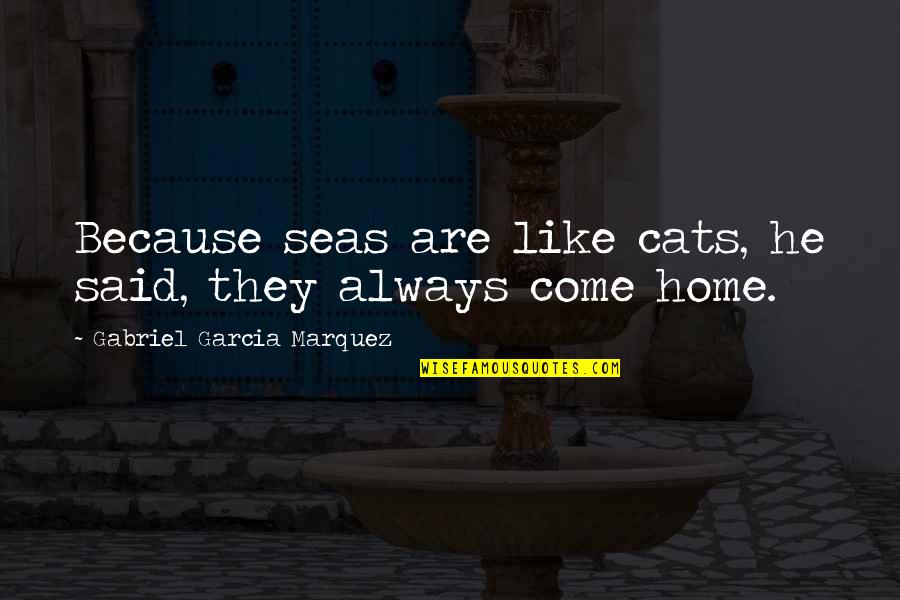 Gunners Day Quotes By Gabriel Garcia Marquez: Because seas are like cats, he said, they