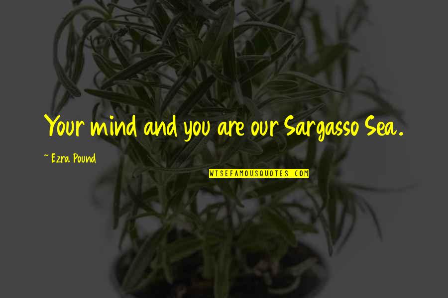 Guys That Flirt Quotes By Ezra Pound: Your mind and you are our Sargasso Sea.