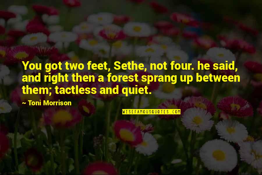 Gyvenimas Susirgus Quotes By Toni Morrison: You got two feet, Sethe, not four. he