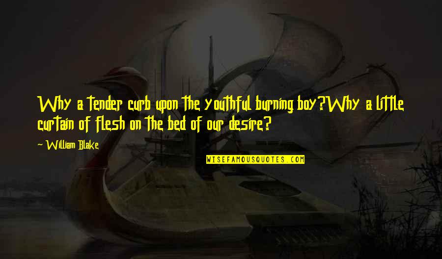 Hackbarth Quotes By William Blake: Why a tender curb upon the youthful burning