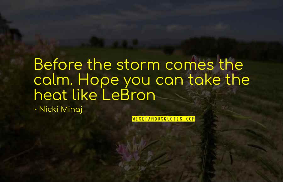 Hal Becker Quotes By Nicki Minaj: Before the storm comes the calm. Hope you