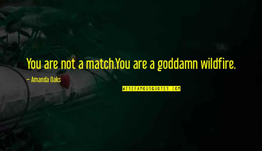 Haldir Of Lorien Quotes By Amanda Oaks: You are not a match.You are a goddamn