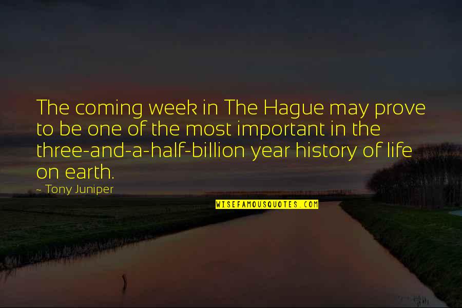 Half Year Quotes By Tony Juniper: The coming week in The Hague may prove