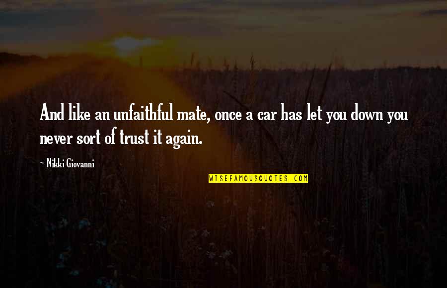 Halina Reijn Quotes By Nikki Giovanni: And like an unfaithful mate, once a car