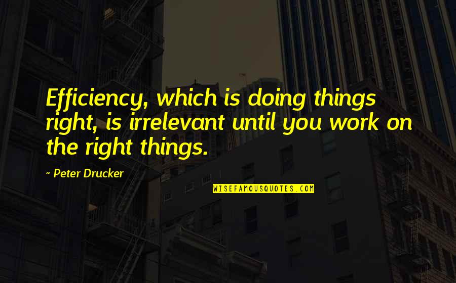 Hanasaku Quotes By Peter Drucker: Efficiency, which is doing things right, is irrelevant