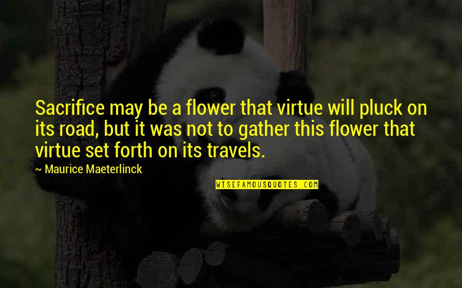 Hand Wringing Meme Quotes By Maurice Maeterlinck: Sacrifice may be a flower that virtue will