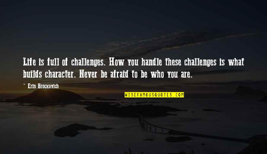 Handle Life Quotes By Erin Brockovich: Life is full of challenges. How you handle