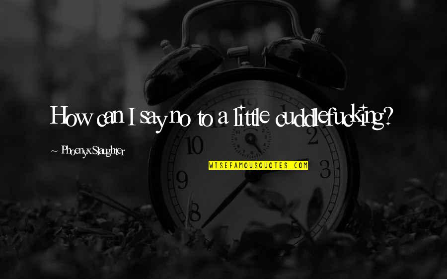 Handling Your Own Business Quotes By Phoenyx Slaughter: How can I say no to a little