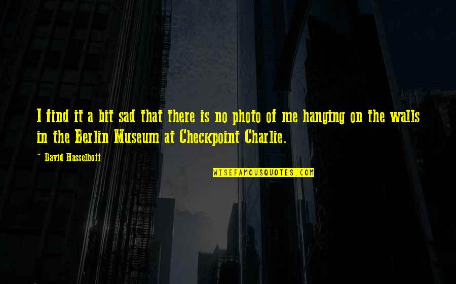 Hanging In There Quotes By David Hasselhoff: I find it a bit sad that there