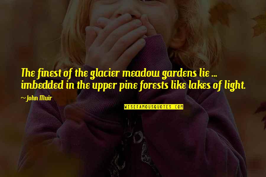 Happy Medical Assistant Day Quotes By John Muir: The finest of the glacier meadow gardens lie