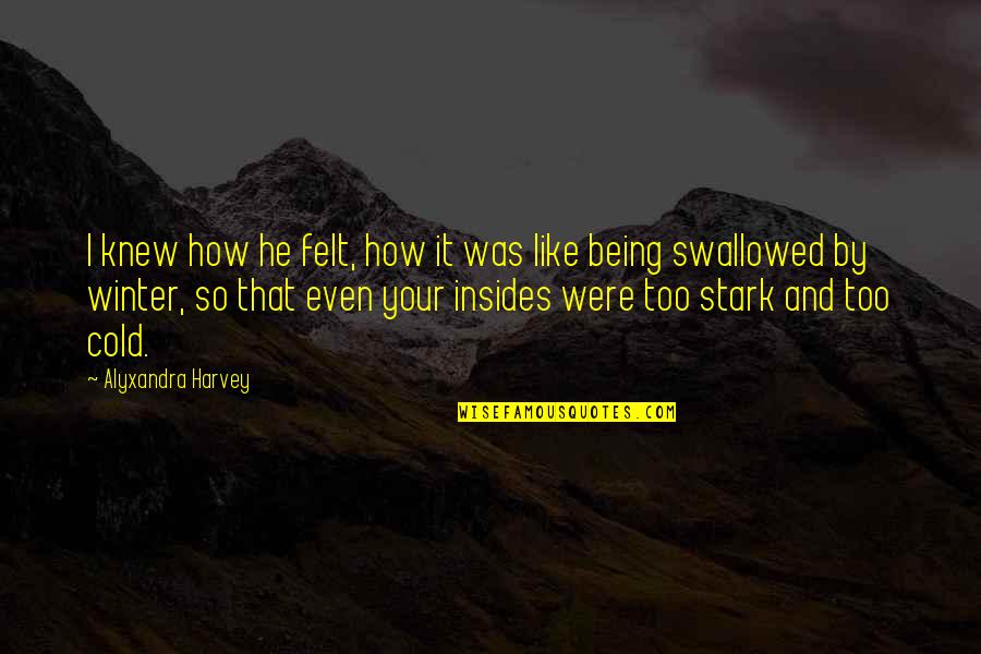 Harderwijk Strand Quotes By Alyxandra Harvey: I knew how he felt, how it was