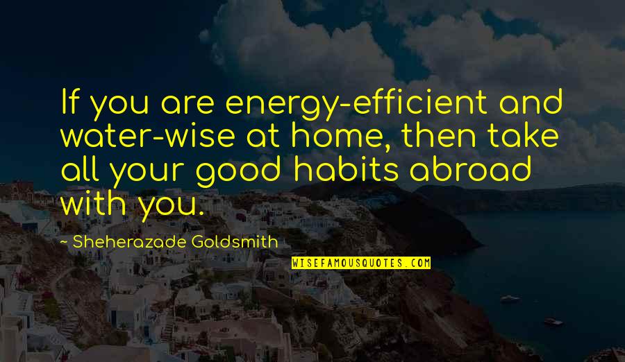 Hariolf Schlichtig Quotes By Sheherazade Goldsmith: If you are energy-efficient and water-wise at home,