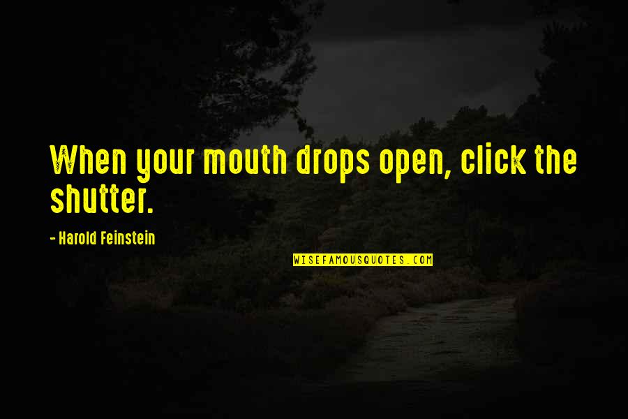 Harold Quotes By Harold Feinstein: When your mouth drops open, click the shutter.