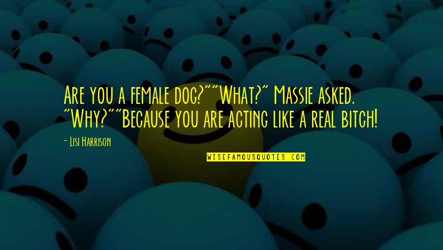 Harry Potter's Appearance Quotes By Lisi Harrison: Are you a female dog?""What?" Massie asked. "Why?""Because