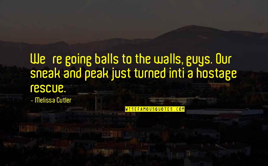 Hassed Hebrew Quotes By Melissa Cutler: We're going balls to the walls, guys. Our