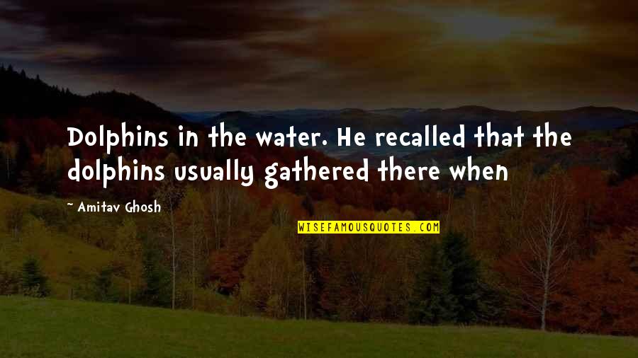 Hassoldt Quotes By Amitav Ghosh: Dolphins in the water. He recalled that the