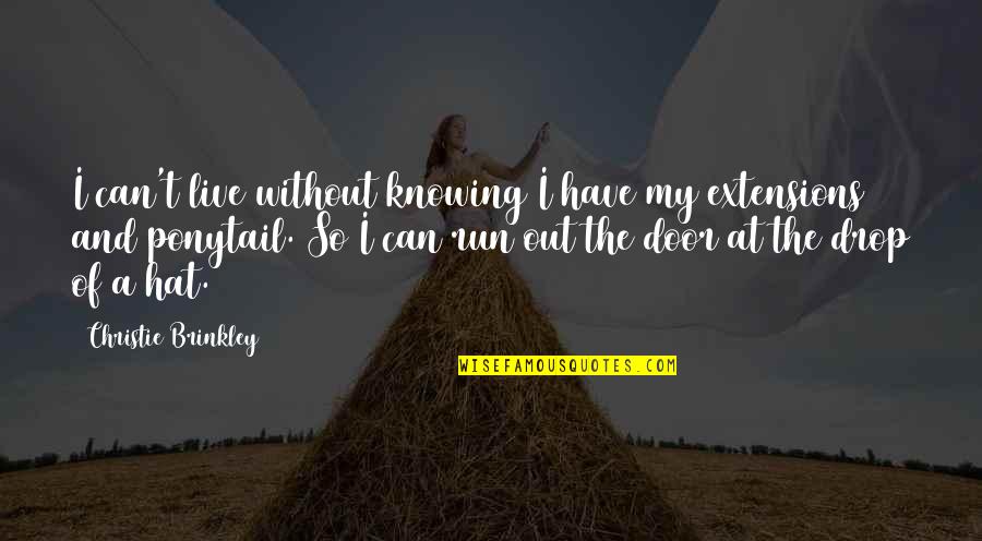 Hat With Ponytail Quotes By Christie Brinkley: I can't live without knowing I have my