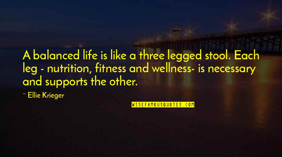 Hati Ini Quotes By Ellie Krieger: A balanced life is like a three legged