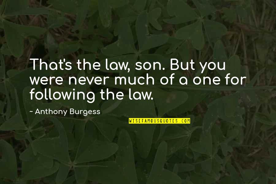 Haundsauuee Quotes By Anthony Burgess: That's the law, son. But you were never