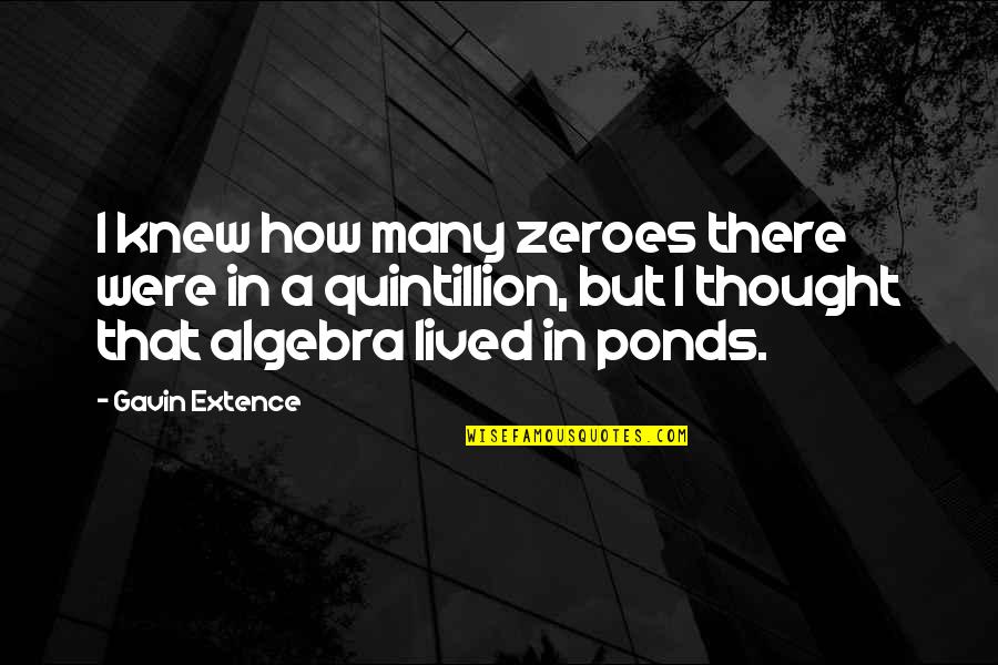 Haunting Ground Quotes By Gavin Extence: I knew how many zeroes there were in