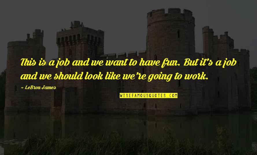 Have Fun Quotes By LeBron James: This is a job and we want to