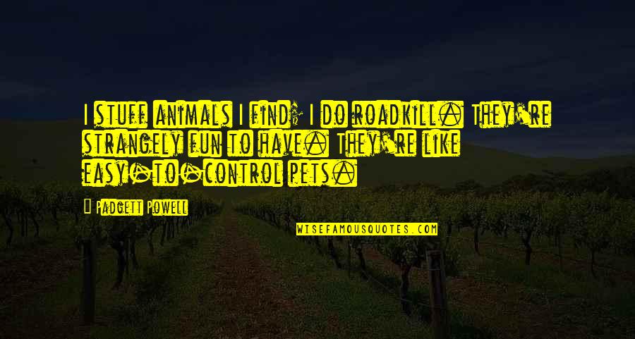 Have Fun Quotes By Padgett Powell: I stuff animals I find; I do roadkill.