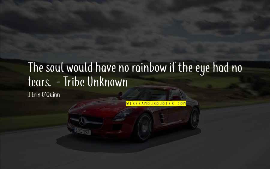 Have No Tribe Quotes By Erin O'Quinn: The soul would have no rainbow if the
