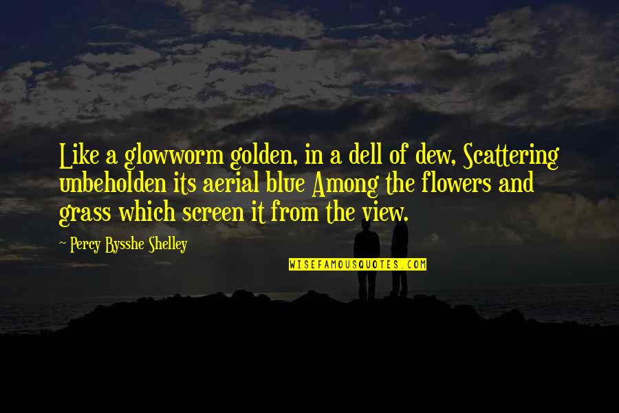 Have Your Way Lord Quotes By Percy Bysshe Shelley: Like a glowworm golden, in a dell of