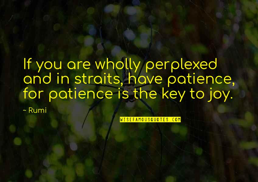 Having No Patience Quotes By Rumi: If you are wholly perplexed and in straits,