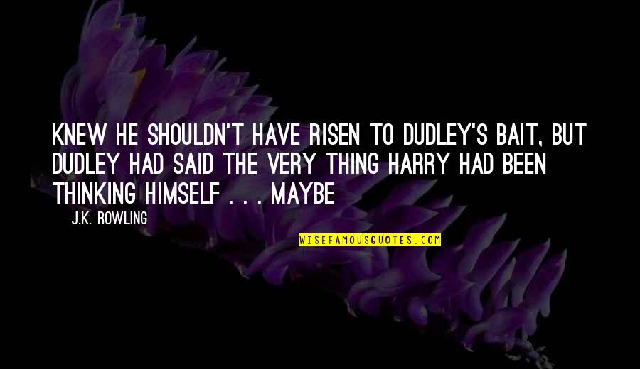 He Is Risen Quotes By J.K. Rowling: knew he shouldn't have risen to Dudley's bait,