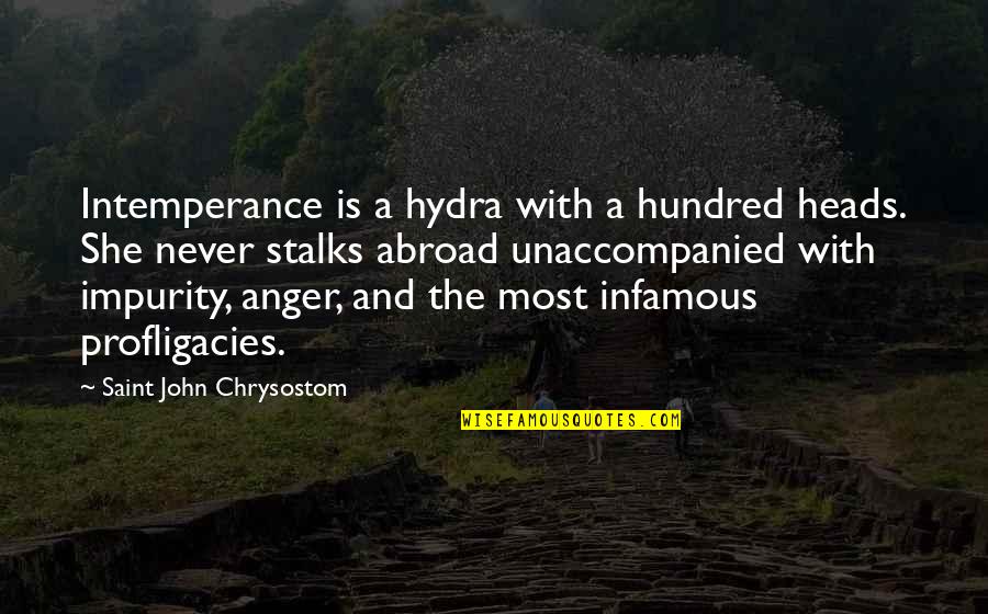 Heads Up In Quotes By Saint John Chrysostom: Intemperance is a hydra with a hundred heads.