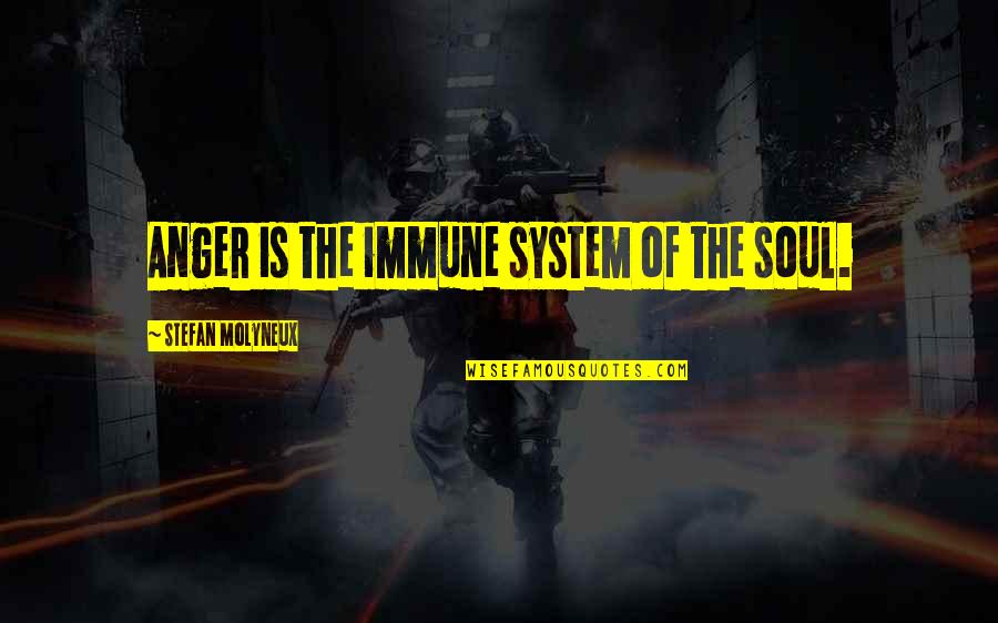 Healing From Abuse Quotes By Stefan Molyneux: Anger is the immune system of the soul.