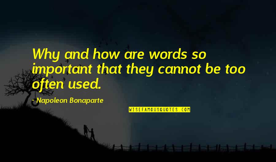 Healthy Mind Body And Soul Quotes By Napoleon Bonaparte: Why and how are words so important that