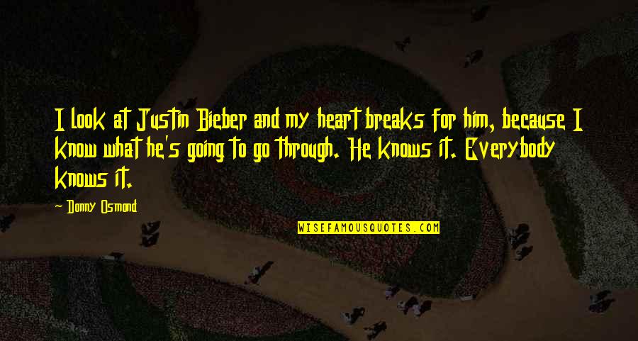 Heart Knows Quotes By Donny Osmond: I look at Justin Bieber and my heart