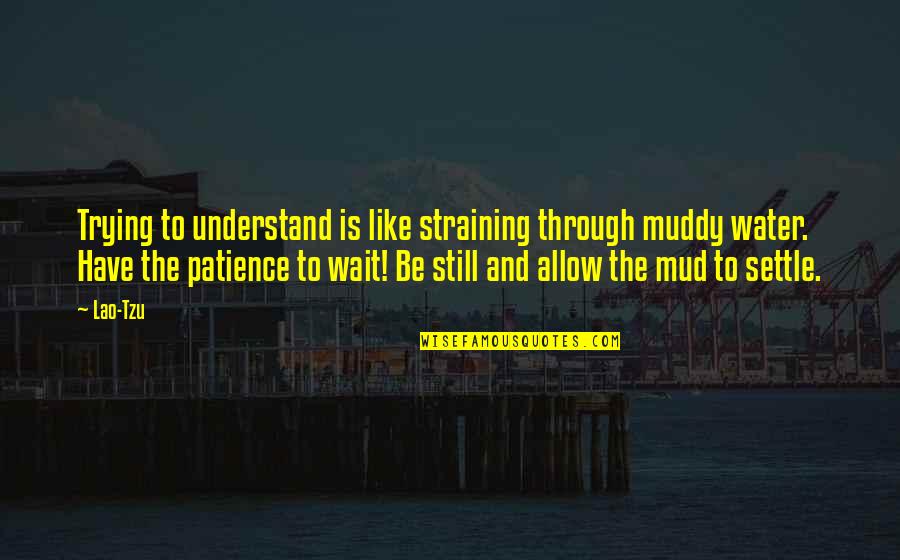 Hebble Homes Quotes By Lao-Tzu: Trying to understand is like straining through muddy