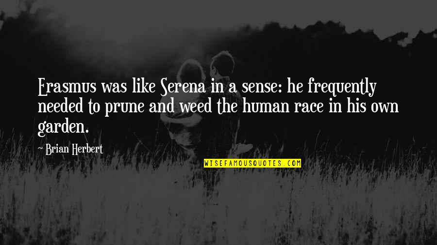 Helenio Herreras Inter Quotes By Brian Herbert: Erasmus was like Serena in a sense: he