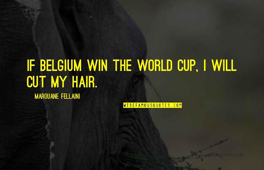 Henry Ford Aeroplane Quotes By Marouane Fellaini: If Belgium win the World Cup, I will