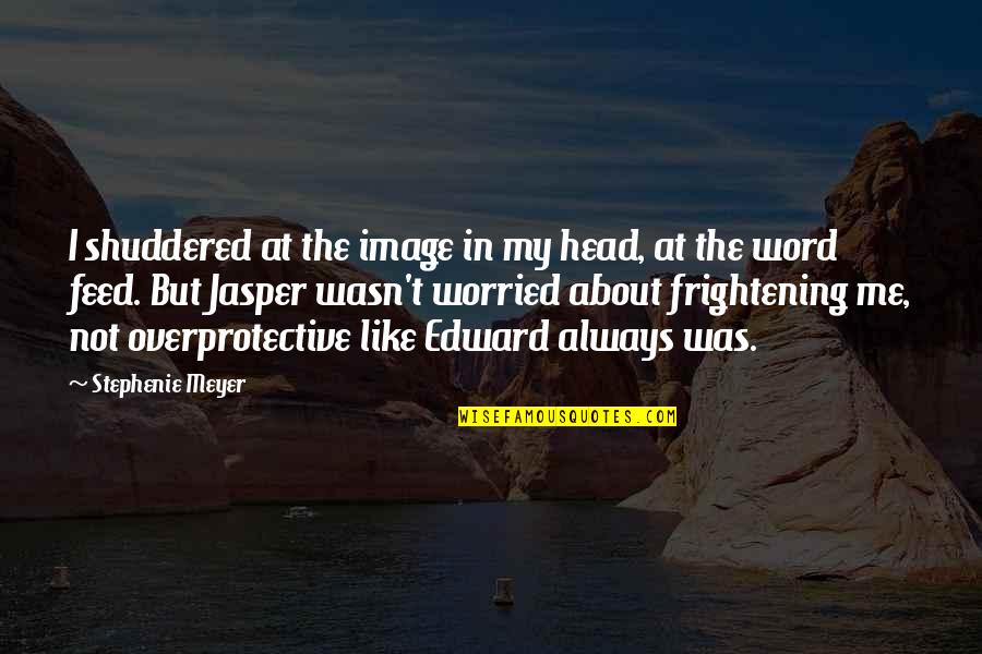 Heroes In Real Life Quotes By Stephenie Meyer: I shuddered at the image in my head,