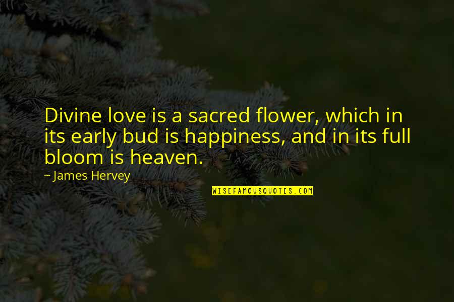 Hervey Quotes By James Hervey: Divine love is a sacred flower, which in