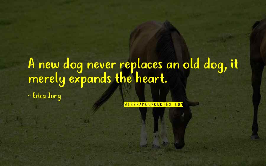 Hides Behind Her Smile Quotes By Erica Jong: A new dog never replaces an old dog,