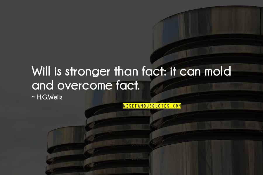 High Maintenance Woman Quotes By H.G.Wells: Will is stronger than fact: it can mold